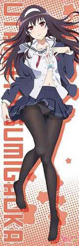 160cm Long Tapestry Saenai Heroin no Sodatekata b Kasumigaoka Utaha School Uniform Ver.