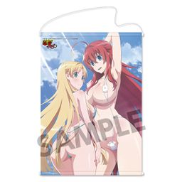 High School DxD Hero B2 Tapestry Rias & Asia