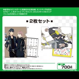 10 Count Clear File 2 Set