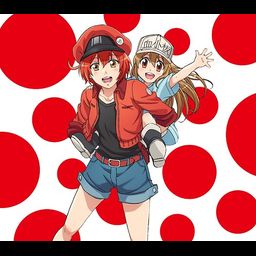 CD+DVD Single CheerS [Limited Anime Edition]