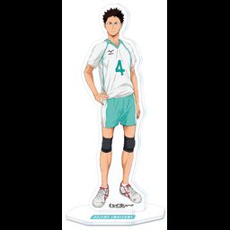 Haikyu!! Acrylic Stand 4 Iwaizumi Hajime