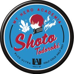 My Hero Academia Can Mirror Todoroki