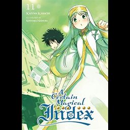 Light Novel A Certain Magical Index Vol. 11