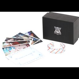 DARLING in the FRANXX Acrylic Bangle Set