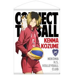 Haikyu!! Kozume Kenma B2 Tapestry
