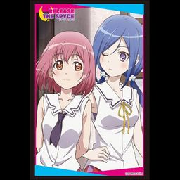 Bushiroad Sleeve Collection High-grade Vol. 1832 Release The Spyce Momo & Yuki