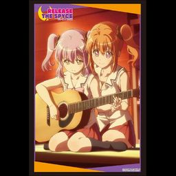 Bushiroad Sleeve Collection High-grade Vol. 1833 Release The Spyce Fu & Mei
