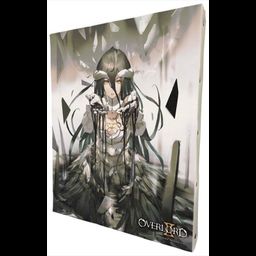 Overlord II F3 Canvas Albedo 02