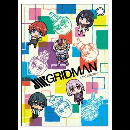 SSSS.Gridman Leather Pass Case C