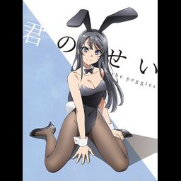 CD + DVD Single Kimi no Sei