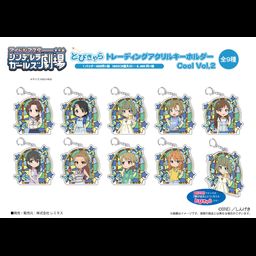 The Idolmaster Cinderella Girls Theater Tobichara Trading Acrylic Key Chain Cool Vol. 2 [ Set of 9]
