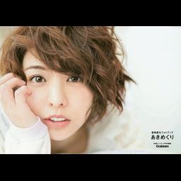 Toyosaki Aki Photo Book Aki no Mekuri