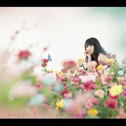 CD Single Angle Blossom