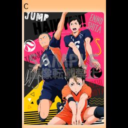 Haikyu!! Clear File C Karasuno Second-year Student