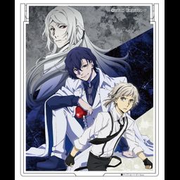 Bungou Stray Dogs DEAD APPLE Mirror