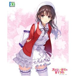 Axia Canvas Art Series No. 052-F30th "Saenai Hiroin no Sodatekata" Kato Megumi Original Edition Part. 4 (Fantasia Bunko 30th Anniversary)