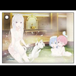 Re:Zero kara Hajimeru Isekai Seikatsu Leather Pass Case Emilia & Puck & Rem & Ram