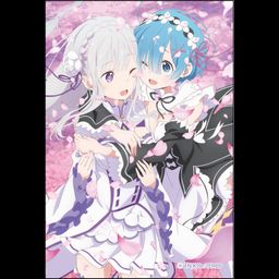 Re:Zero kara Hajimeru Isekai Seikatsu Square Magnet Emilia & Rem A