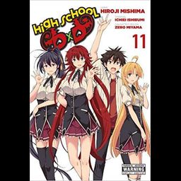 Manga High School DxD Vol. 11