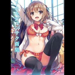 Tomose Shunsaku Art Book