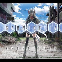 CD + DVD Single Rebel Flag [Limited Pressing]