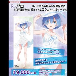 Re:Zero kara Hajimeru Isekai Seikatsu Original Illustration Life-size Tapestry Rem