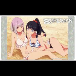 Klock Worx Rubber Mat Collection Vol. 14 SSSS.Gridman A