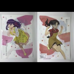 Today's Menu for Emiya Family A4 Clear File Sakura & Rin