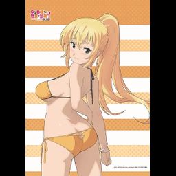 Kono Subarashii Sekai ni Shukufuku wo! Kurenai Densetsu Original Illustration Darkness B2 Tapestry (72x51cm)