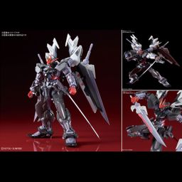 High Resolution Model 1/100 Gundam Astray Noir