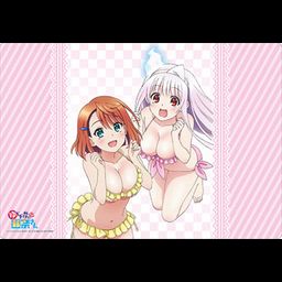 Bushiroad Rubber Mat Collection Vol. 317 Yuuna and the Haunted Hot Springs Yuuna & Chisaki