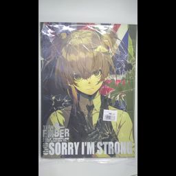 Doujinshi SSORRY I'M STRONG - Team Ember Illustration Book Vol 1