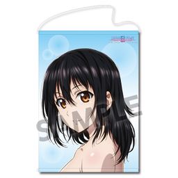 Strike the Blood III B2 Tapestry Himeragi Yukina Bust Up Ver. (72x51cm)