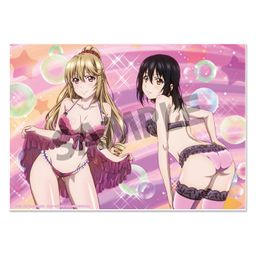 Strike the Blood III Visual Acrylic Plate Himeragi Yukina & Aiba Asagi Lingerie Ver. (A5 Size 21x15cm)