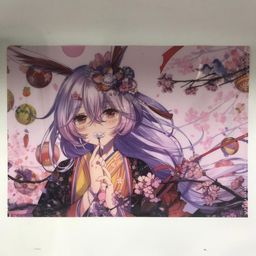 Honkai Impact 3rd A4 Clear File Happy Bithday To Theresa Apocalypse