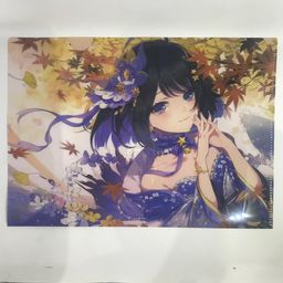 Honkai Impact 3 A4 Clear File Happy Bithday To Seele