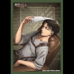 Attack on Titan Season 3 Multi Cloth Levi