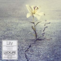 CD+DVD Single Luck Life "Bungo Stray Dogs (Anime)" 3rd Season Outro Theme: Lily [Artist Edition]