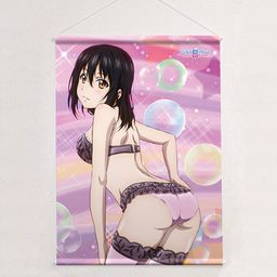 Strike the Blood B2 Tapestry Yukina / Bubbles (72x51cm)