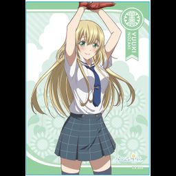 Hachigatsu no Cinderella Nine A4 Multi Cloth 3 Nozaki Yuki