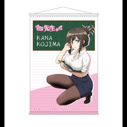 Nande Koko ni Sensei ga!? B2 Tapestry