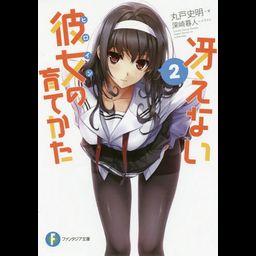 (Japanese Ver.) Light Novel Saenai Heroine no Sodatekata Saekano Vol.2