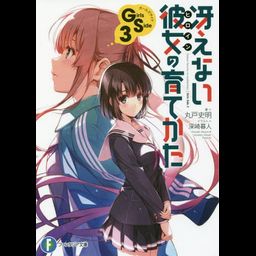 (Japanese Ver.) Light Novel Saenai Heroine no Sodatekata Saekano Vol.3