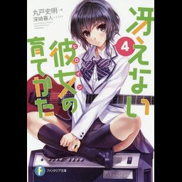 (Japanese Ver.) Light Novel Saenai Heroine no Sodatekata Saekano Vol.4