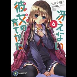 (Japanese Ver.) Light Novel Saenai Heroine no Sodatekata Saekano Vol.6