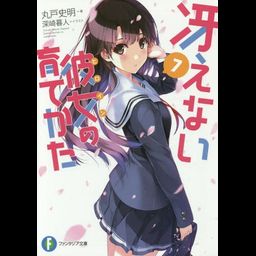 (Japanese Ver.) Light Novel Saenai Heroine no Sodatekata Saekano Vol.7