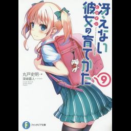 (Japanese Ver.) Light Novel Saenai Heroine no Sodatekata Saekano Vol.9