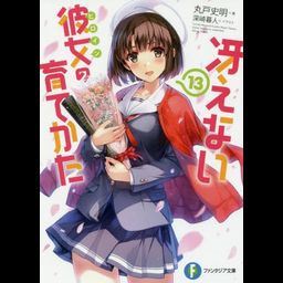 (Japanese Ver.) Light Novel Saenai Heroine no Sodatekata Saekano Vol.13