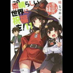 (Japanese Ver.) Light Novel KonoSuba: God's Blessing on this Wonderful World! Aa, Damegami-sama Vol.11