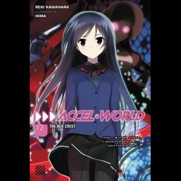 Light Novel Accel World Vol. 12